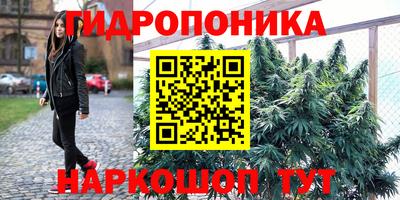 СК Краснодар