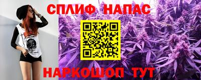 СК Краснодар