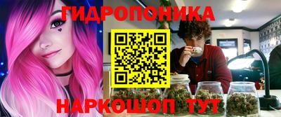СК Краснодар
