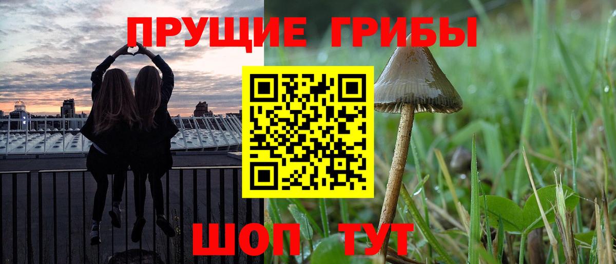 Волжский  Псилоцибиновые грибы ЛСД  Вход с VPN 